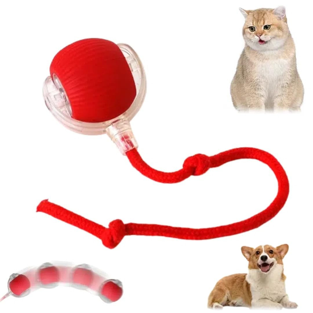 ✨ Bolinha Automática Para Pets — Seu Pet Ativo, Mesmo Quando Você Está Ocupado!