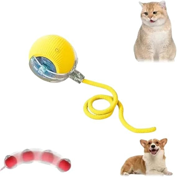 ✨ Bolinha Automática Para Pets — Seu Pet Ativo, Mesmo Quando Você Está Ocupado!