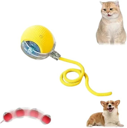 ✨ Bolinha Automática Para Pets — Seu Pet Ativo, Mesmo Quando Você Está Ocupado!