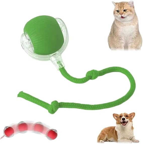 ✨ Bolinha Automática Para Pets — Seu Pet Ativo, Mesmo Quando Você Está Ocupado!